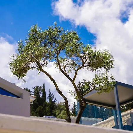 Dama Olga * Lygia (Lefkada)